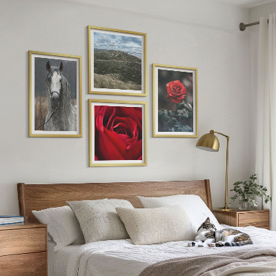 Set 4 slike u okviru Crvene ruže konj siva pozadina