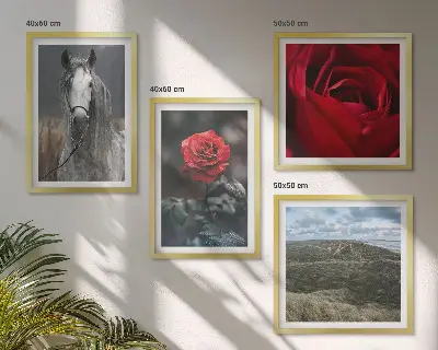 Set od 4 slike u okviru crvene ruže s konjem na sivoj pozadini