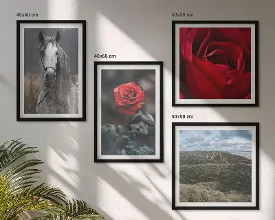 Set od 4 slike u okviru crvene ruže s konjem na sivoj pozadini