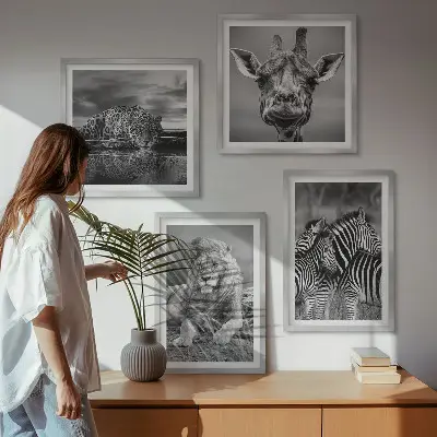 Set 4 slike u okviru divlje životinje lav jaguar žirafa i zebra