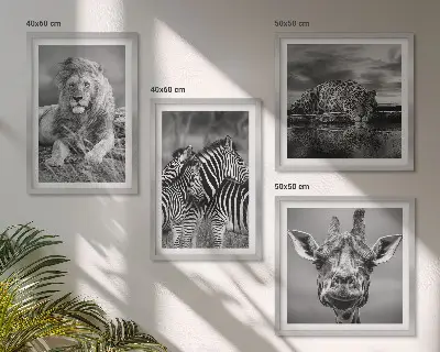 Set 4 slike u okviru divlje životinje lav jaguar žirafa i zebra