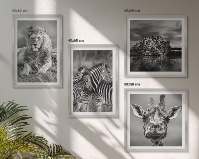 Set 4 slike u okviru Divlje životinje Lav Jaguar Žirafa Zebre