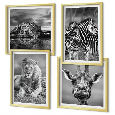 Set 4 slike u okviru divlje životinje lav jaguar žirafa i zebra