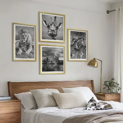 Set 4 slike u okviru divlje životinje lav jaguar žirafa i zebra