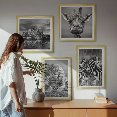 Set 4 slike u okviru divlje životinje lav jaguar žirafa i zebra