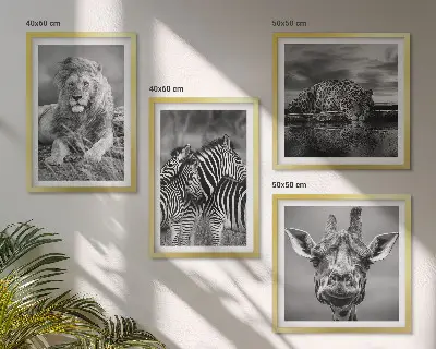 Set 4 slike u okviru divlje životinje lav jaguar žirafa i zebra