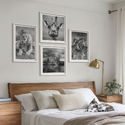 Set 4 slike u okviru Divlje životinje Lav Jaguar Žirafa Zebre