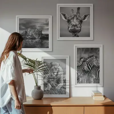 Set 4 slike u okviru divlje životinje lav jaguar žirafa i zebra