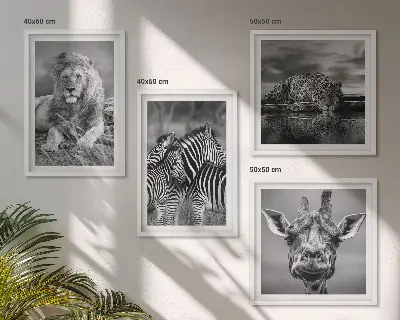 Set 4 slike u okviru divlje životinje lav jaguar žirafa i zebra