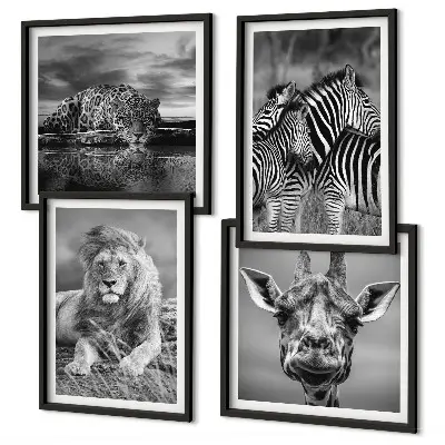 Set 4 slike u okviru divlje životinje lav jaguar žirafa i zebra