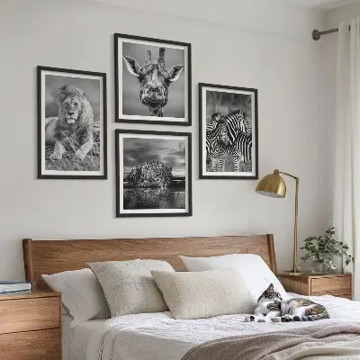 Set 4 slike u okviru divlje životinje lav jaguar žirafa i zebra