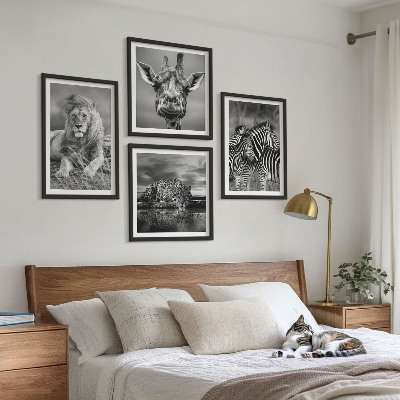 Set 4 slike u okviru Divlje životinje Lav Jaguar Žirafa Zebre
