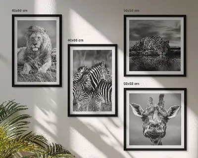 Set 4 slike u okviru divlje životinje lav jaguar žirafa i zebra