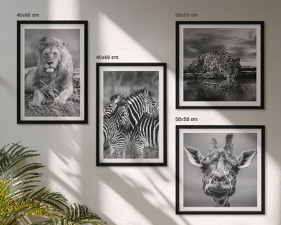 Set 4 slike u okviru Divlje životinje Lav Jaguar Žirafa Zebre