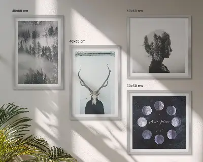 Set od 4 slike u okviru motivi šume, magle, mjeseca, lubanje i žene