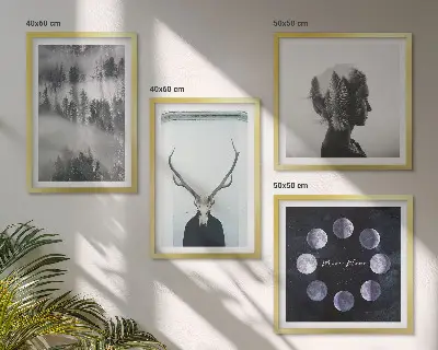 Set od 4 slike u okviru motivi šume, magle, mjeseca, lubanje i žene