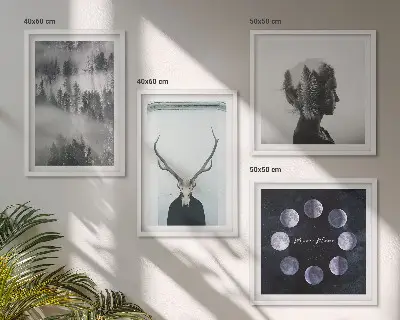 Set od 4 slike u okviru motivi šume, magle, mjeseca, lubanje i žene