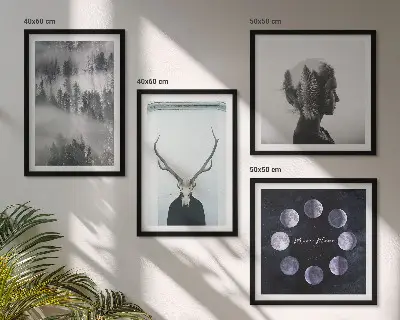 Set od 4 slike u okviru motivi šume, magle, mjeseca, lubanje i žene