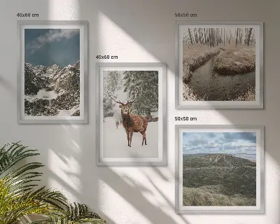 Set 4 slike u okviru planinski šumski krajolik sa jelenom