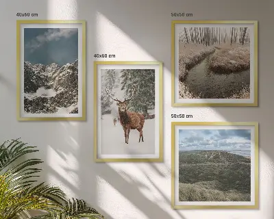 Set 4 slike u okviru planinski šumski krajolik sa jelenom