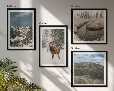 Set 4 slike u okviru planinski šumski krajolik sa jelenom