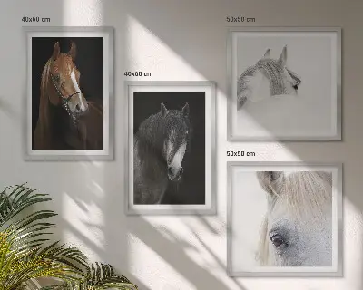 Komplet slika za spavaću sobu portreti konja u koloru