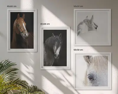 Komplet slika za spavaću sobu portreti konja u koloru