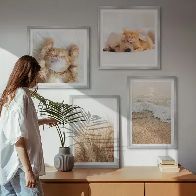 Dekorativni komplet zidnih slika slatke životinje s motivima mačaka, pasa i plaže