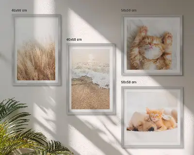 Dekorativni komplet zidnih slika slatke životinje s motivima mačaka, pasa i plaže