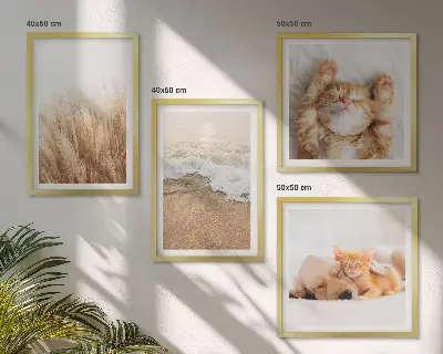 Dekorativni komplet zidnih slika slatke životinje s motivima mačaka, pasa i plaže