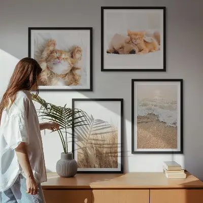 Dekorativni komplet zidnih slika slatke životinje s motivima mačaka, pasa i plaže