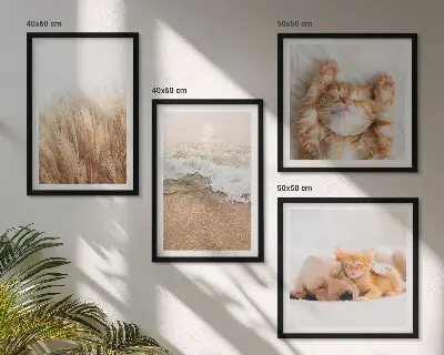 Dekorativni komplet zidnih slika slatke životinje s motivima mačaka, pasa i plaže