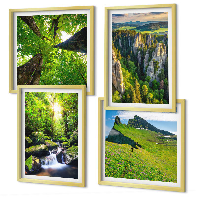 Set 4 slike u okviru Zelene planine, vodopadna šuma