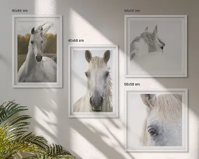 Bijeli konji set od 4 slike u okviru