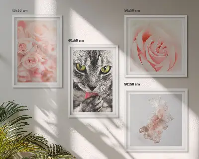 Apstraktne sive mačje ruže set od 4 slike u okviru