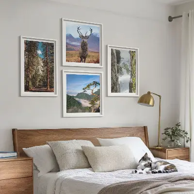 Set od 4 slike u okviru cesta kroz šumu s motivom planine i jelena u prirodi