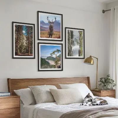 Set od 4 slike u okviru cesta kroz šumu s motivom planine i jelena u prirodi