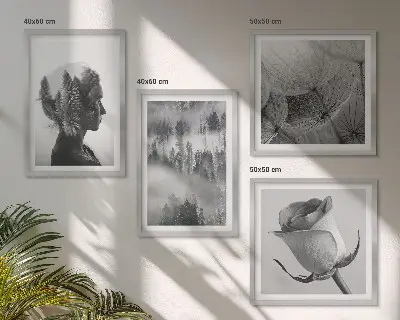 Portret žene u šumskoj magli set od 4 slike u okviru