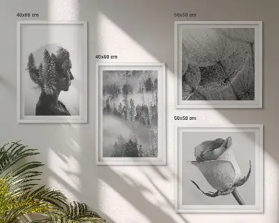 Portret žene u šumskoj magli set od 4 slike u okviru