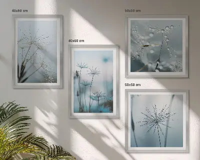 Kapljice vode od maslačka set od 4 slike u okviru