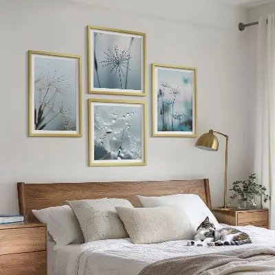 Kapljice vode od maslačka set od 4 slike u okviru