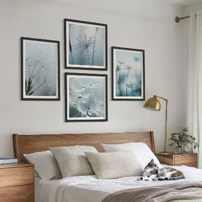Kapljice vode od maslačka set od 4 slike u okviru