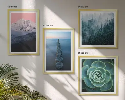 Komplet slika za spavaću sobu planine s motivom ružičastog neba, vode i sukulenta