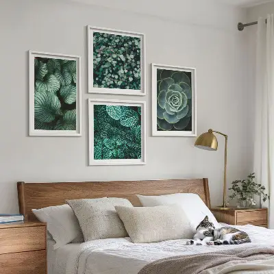 Set 4 slike s motivom zelenih sukulenta u okviru