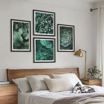 Set 4 slike s motivom zelenih sukulenta u okviru