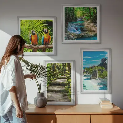 Set 4 slike u okviru vodopad s papigama u tropskoj šumi