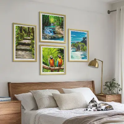 Set 4 slike u okviru vodopad s papigama u tropskoj šumi