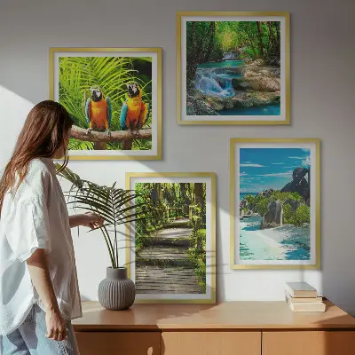 Set 4 slike u okviru vodopad s papigama u tropskoj šumi