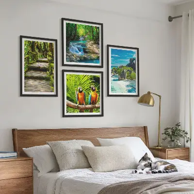 Set 4 slike u okviru vodopad s papigama u tropskoj šumi