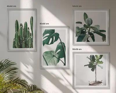 Estetika tropskih biljaka set od 4 slike u okviru